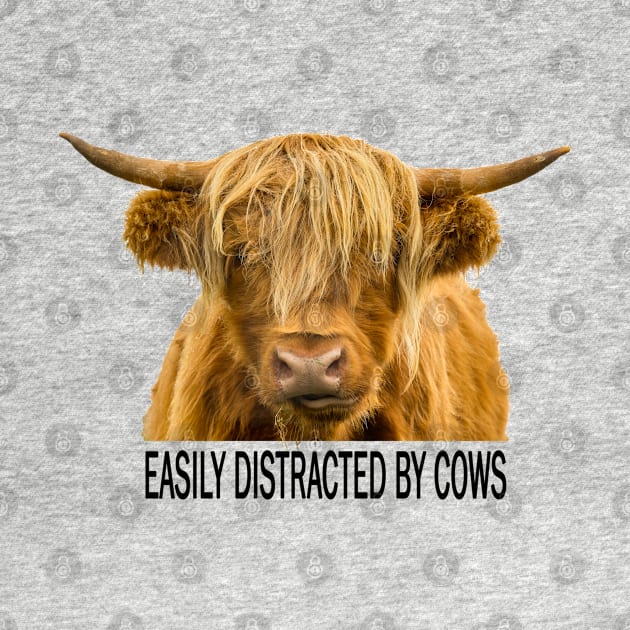 Easily Distracted by Cows by Jane Stanley Photography